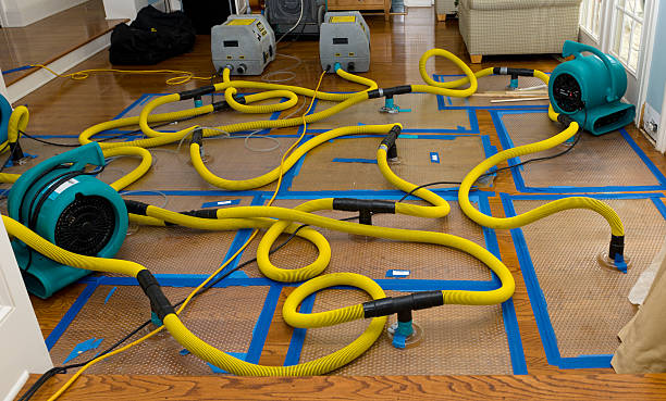 Professional Water Extraction technician working in Webster, MA
